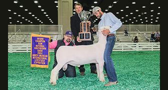 2024 NAILE Southdown Open Show