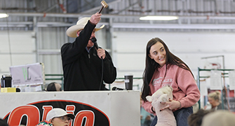 2026 National Southdown Sale Results
