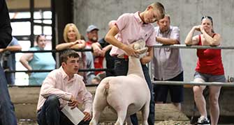Futurity Points Updated